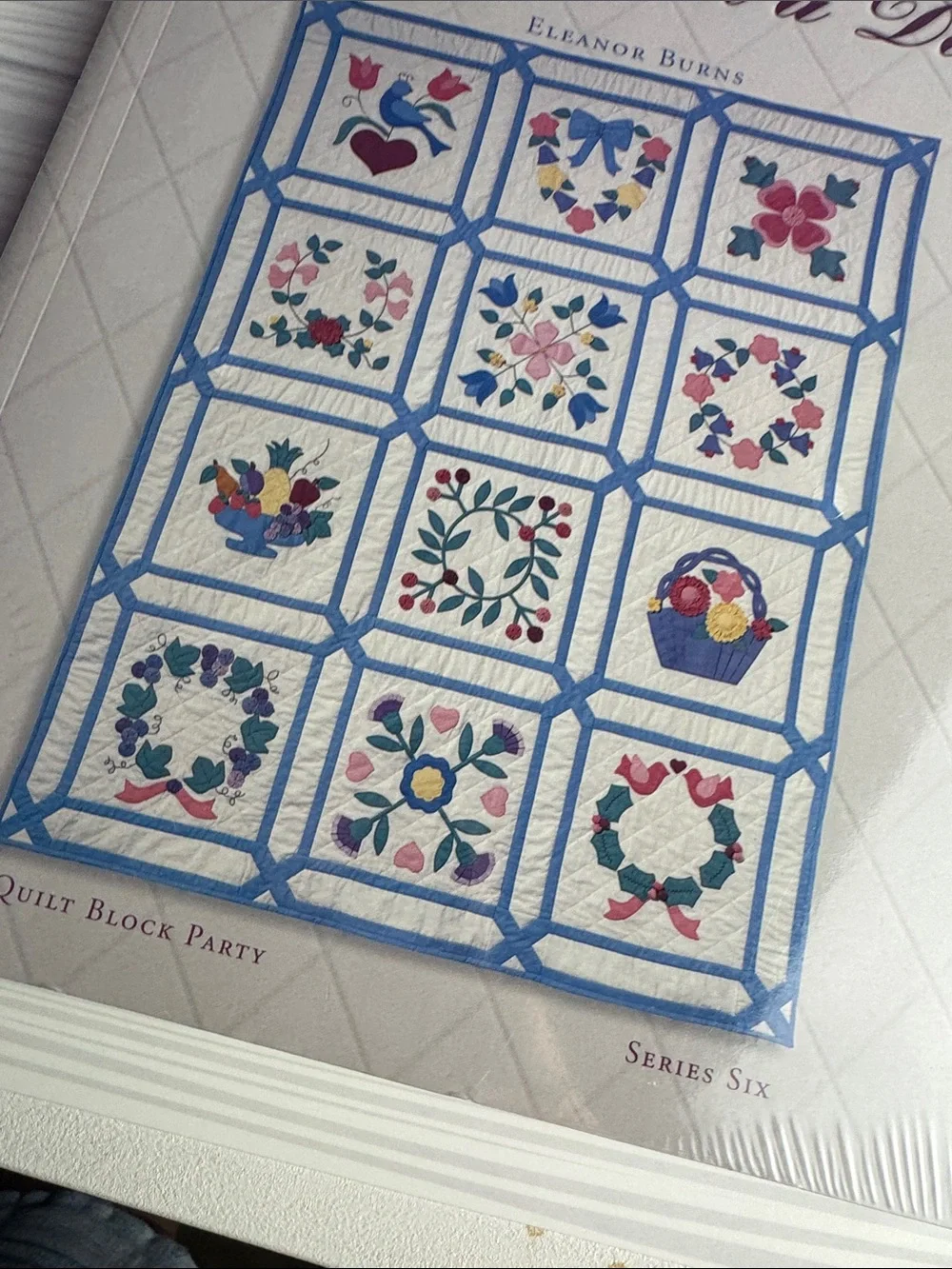 Vintage Eleanor Burns Applique in a Day Quilt Block Party Series 6 Patterns 1994